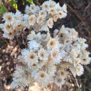 Meet your Posher, Kenia